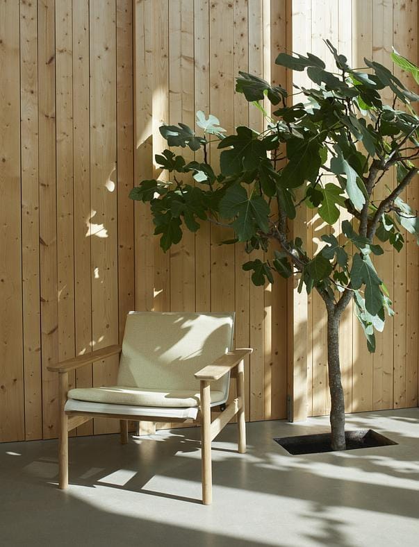 Fritz Hansen PELAGUS -nojatuoli tyynyllä, hiekka/tiikki/keltainen - Image 4