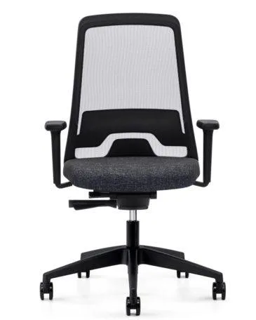Interstuhl EVERYis1 EV251 office chair
