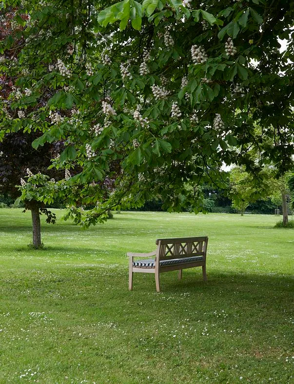 Fritz Hansen DRACHMANN -bench 209 cm with cushion, apricot/dark green - Image 3