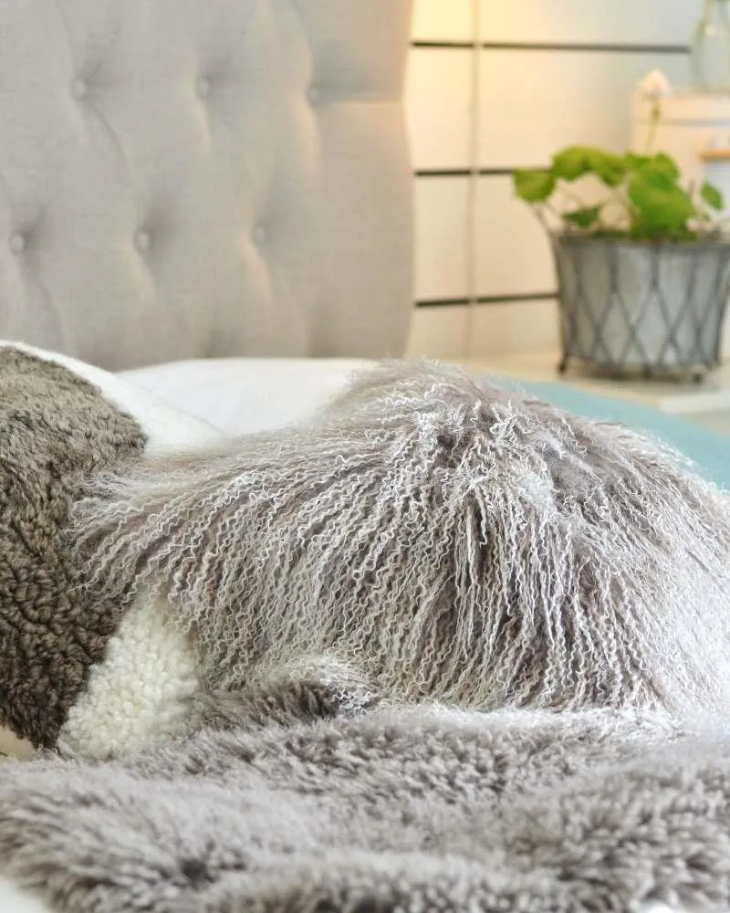 Skinnwille SHANSI -tyyny - Image 2